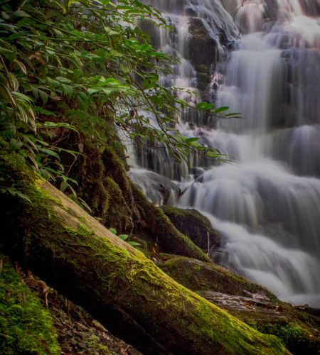 north-carolina-waterfall-in-summer-2023-03-24-22-13-01-utc